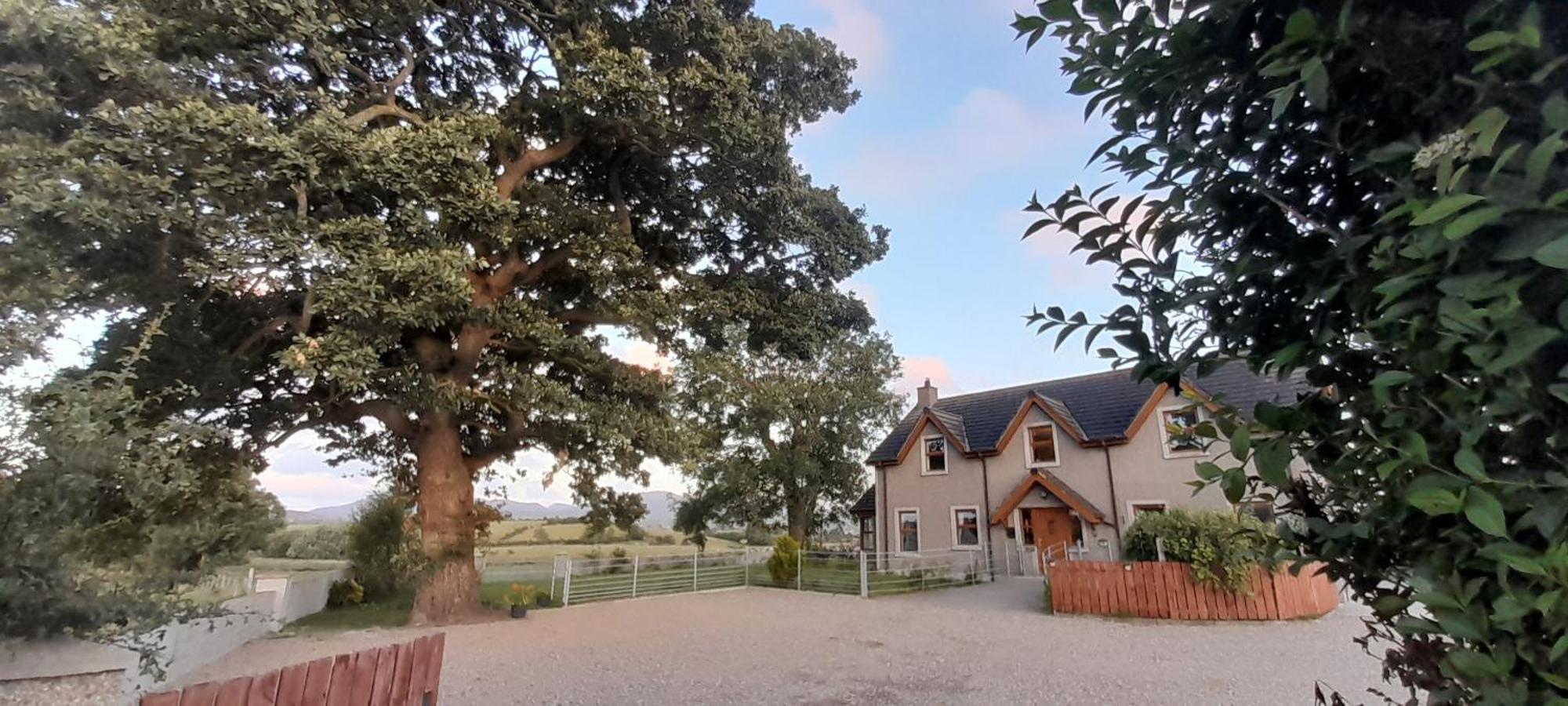 Oaktree Manor Vila Castlewellan Exterior foto