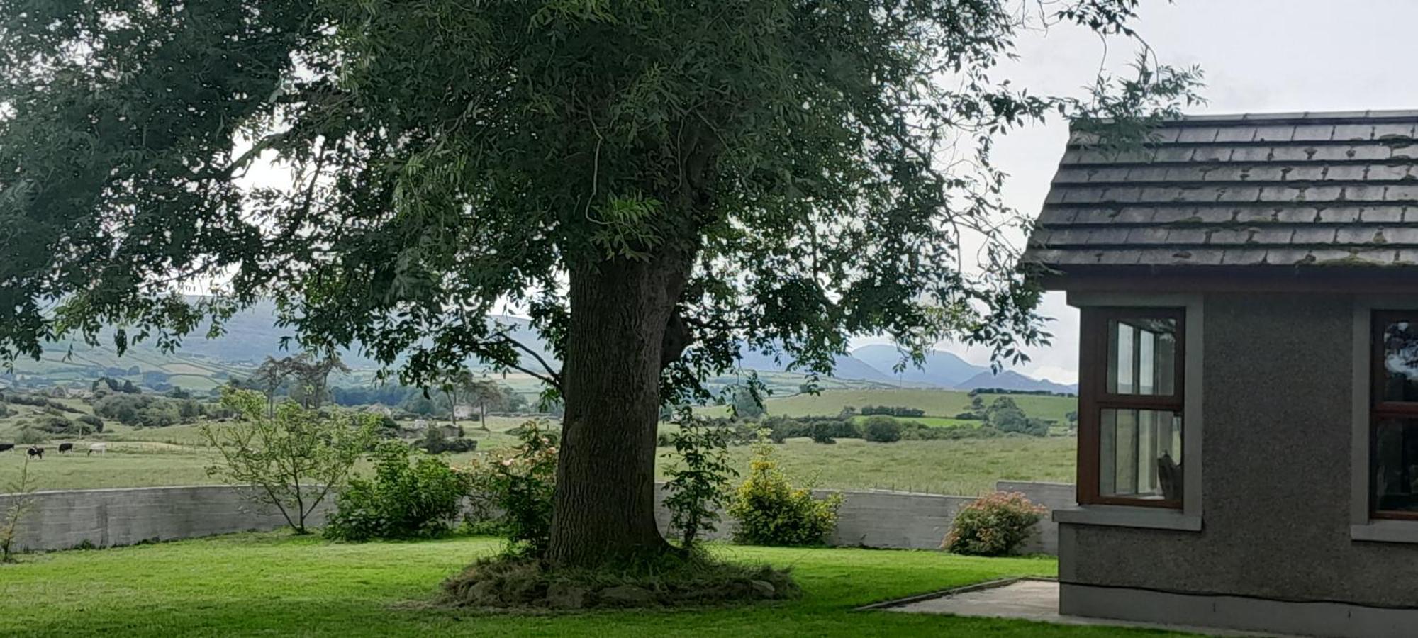 Oaktree Manor Vila Castlewellan Exterior foto